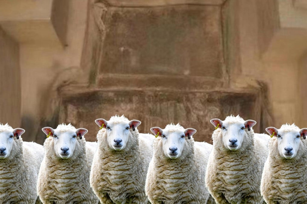 A rare “six-sheep” carriage, discovered near the mausoleum of China’s first Emperor in Qin dynasty in Xian provides fresh insights into early burial practices during that era. Photo: SCMP composite/Shutterstock/CCTV