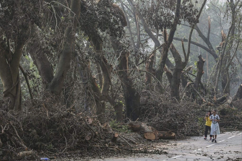 Students walk past broken trees in Sheung Shui after Typhoon Mangkhut hit Hong Kong in September 2018. Authorities will discuss ways to tackle the global environmental crisis at this year’s UN climate change summit. Photo: Sam Tsang