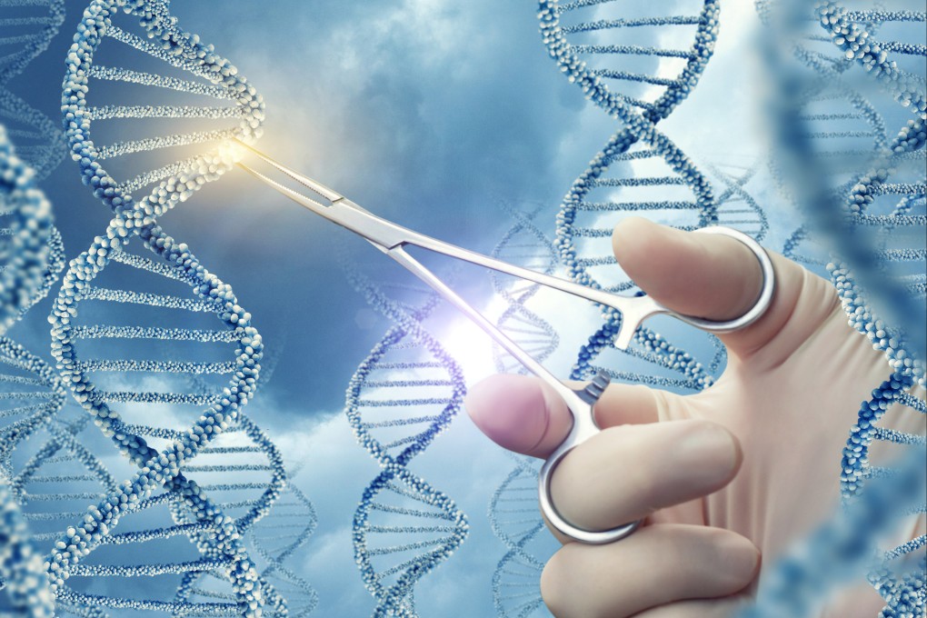 The research team used gene-editing technology to breed beagles with a mutated gene found in some people with autism spectrum disorder. Image: Shutterstock