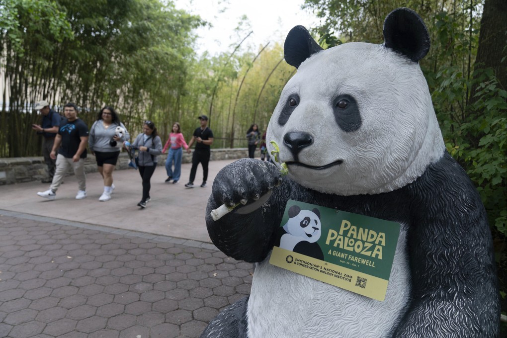 The giant panda exhibition at the National Zoo in Washington on September 28, ahead of the departure of three pandas earlier this month. Photo: AP