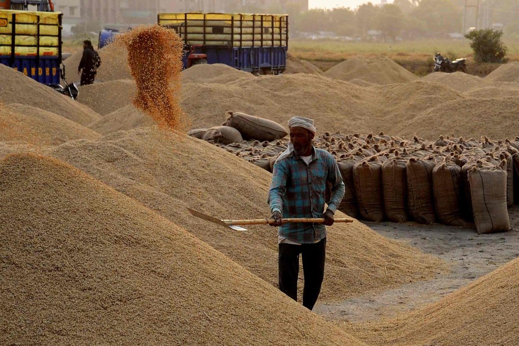 A worker separates paddy rice at an open grain market near Jalandhar. Photo: AFP