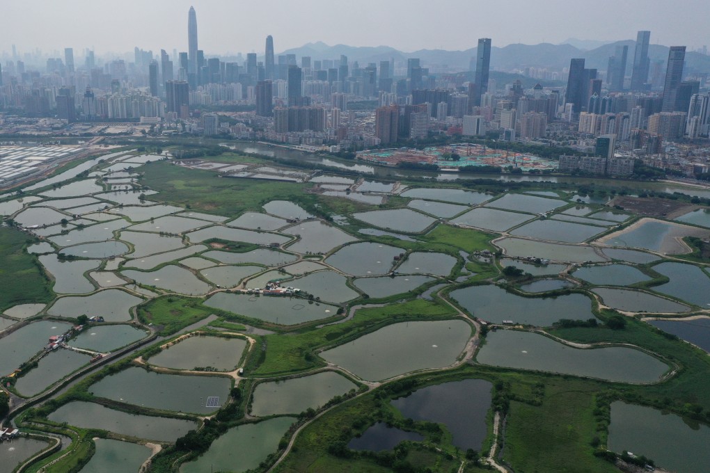 Lok Ma Chau at the northwest border in Hong Kong. The site of the proposed Northern Metropolis is an ecologically sensitive area with wetlands important to Hong Kong’s well-being, making it essential for the government to strike a balance between preserving the environment and pursuing development. Photo: May Tse