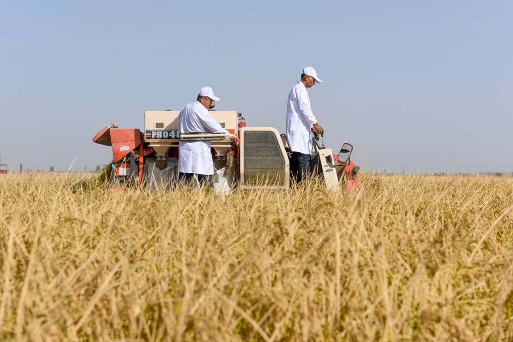 China’s agricultural monitoring system CropWatch is now helping more than 160 countries around the world better deal with market fluctuations as they strive to achieve zero hunger. Photo: Xinhua