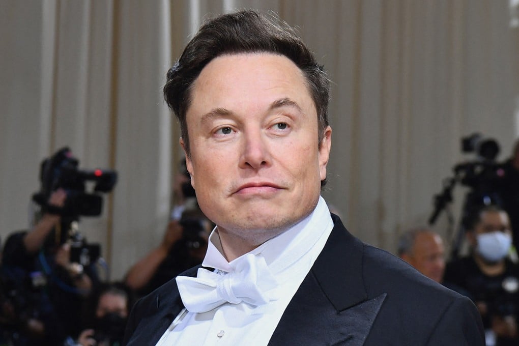 Elon Musk. File photo: TNS