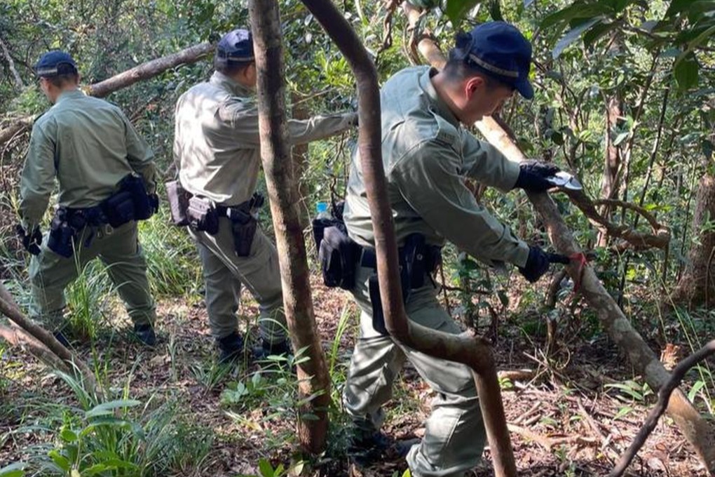 Red ribbons are found tied to tree branches in Sai Kung. Photo: HKPF