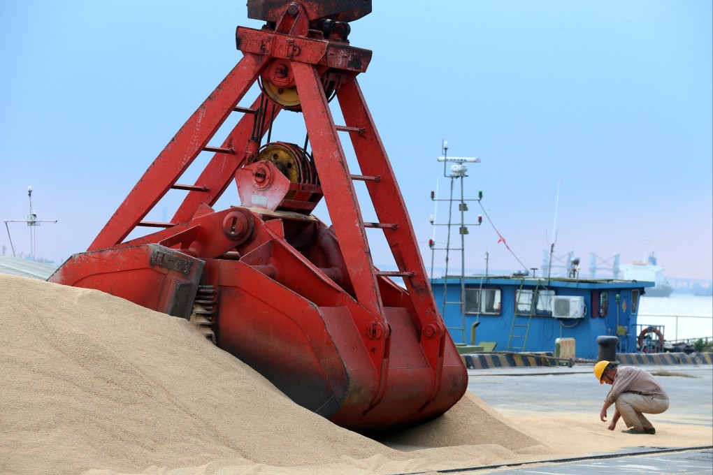 The yield of staple crops like soybeans is expected to increase substantially with the introduction of GM varieties. Photo: Xinhua