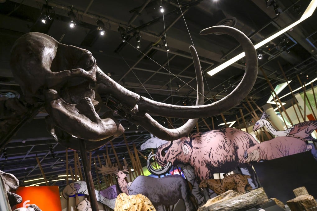 An exhibit featuring a woolly mammoth installation at the Hong Kong Science Museum in Tsim Sha Tsui. Under the government’s proposal, the institution’s collections would relocate to Sha Tin. Photo: May Tse
