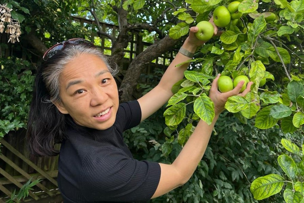 Kitty Wong picks apples from a friend’s tree in the UK, where she is spending her retirement. She explains how she continues to live a happy and purposeful life after retiring, which includes studying, working part-time and volunteering. Photo: Kitty Wong