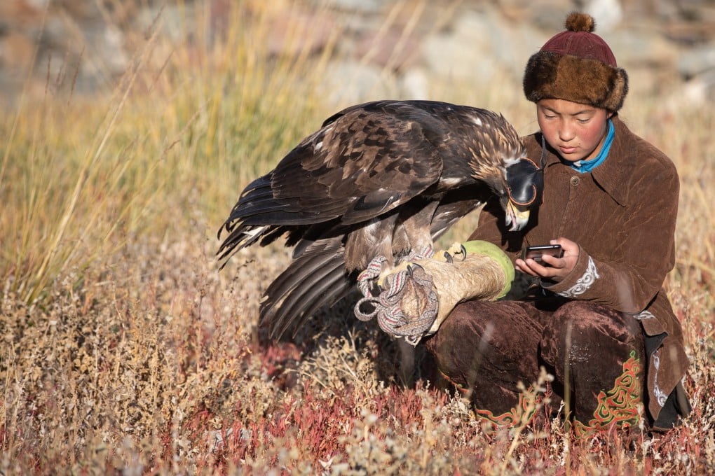 A traditional Kazakh eagle hunter in Ulgii, Western Mongolia, watches her mobile phone with her golden eagle, which she uses to hunt foxes and rabbits for their fur. Broadband internet is helping preserve nomadic culture on the Mongolian steppe. Photo: Getty Images
