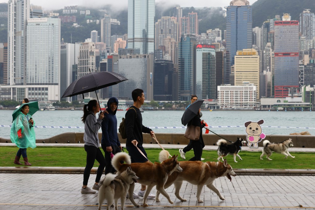 People take their dogs on a charity walk at the ProVet X SPCA Dogathon 2023, hosted by the Society for the Prevention of Cruelty to Animals at Art Park, West Kowloon Cultural District, on March 26. Photo: Dickson Lee