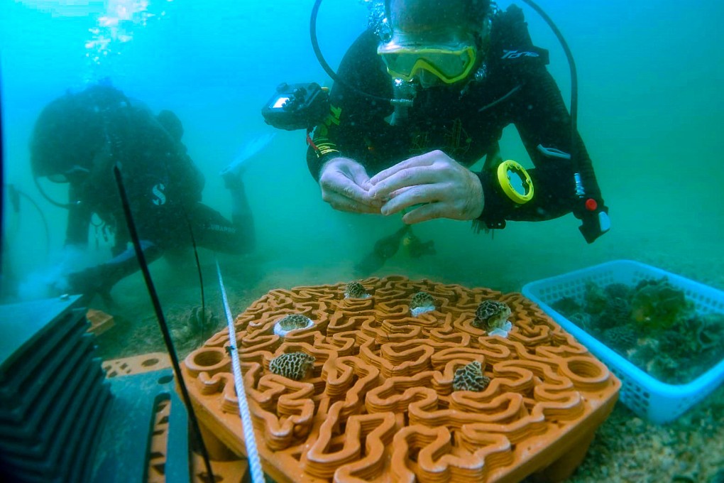 Hong Kong marine tech start-up Archireef has announced a partnership with the Middle East’s biggest bank, First Abu Dhabi Bank (FAB), to deploy the firm’s 3D-printed terracotta tiles to restore the degraded reef ecosystem off the coasts of the Gulf nation. Photo: Archireef