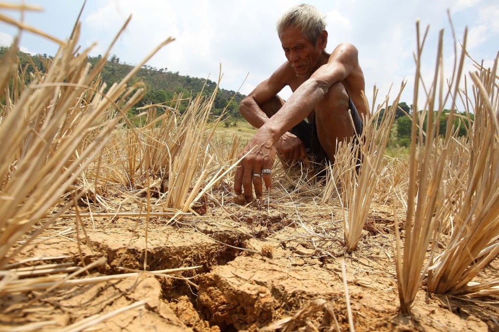 A Filipino farmer inspects a dried-up rice field in the Philippines’ Bulacan province in 2016 amid that year’s El Nino-influenced weather conditions. Photo: Xinhua