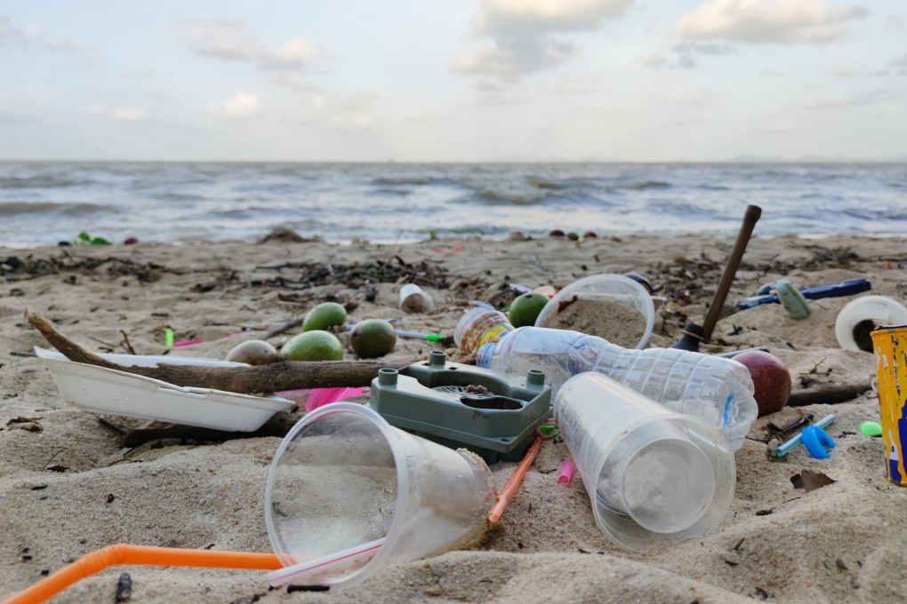 What’s wrong with singleuse plastics? Here is why you should toss this
