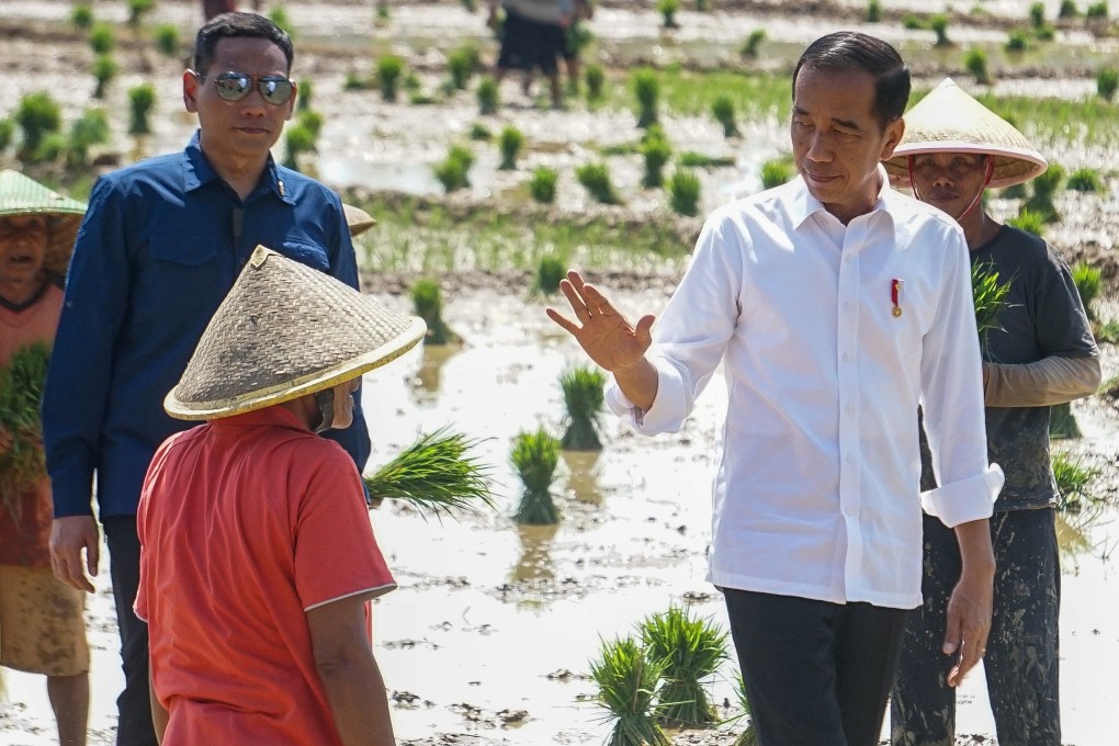 Indonesia’s Joko Widodo orders army to help farmers plant rice amid ...