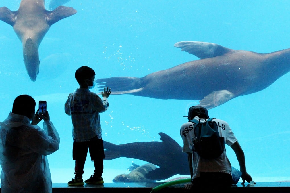 Tourists watch seals swimming at Shanghai Haichang Ocean Park. Photo: Xinhua