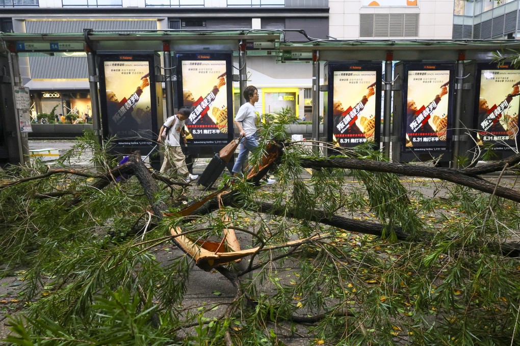 Fallen branches in Tsim Sha Tsui after super typhoon Saola swept through the city, on September 2. Photo: Dickson Lee