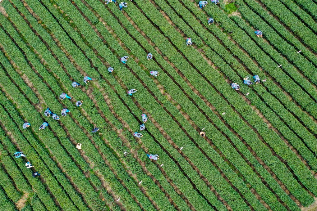 Farming incomes remain low and rural residents do not have access to some services available to city dwellers. (Xinhua/Tang Yi)