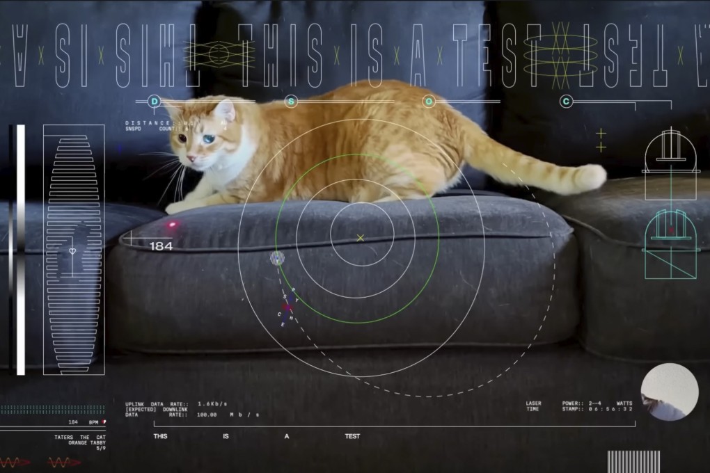 A 15-second ultra-high-definition video featuring a cat named Taters was streamed via laser from deep space by Nasa on December 11. Photo: Nasa via AP