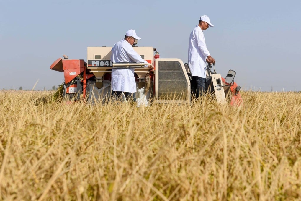 China has the world’s third-largest surface area of saline-alkaline land at about 100 million (247 million acres) hectares. Photo: Xinhua
