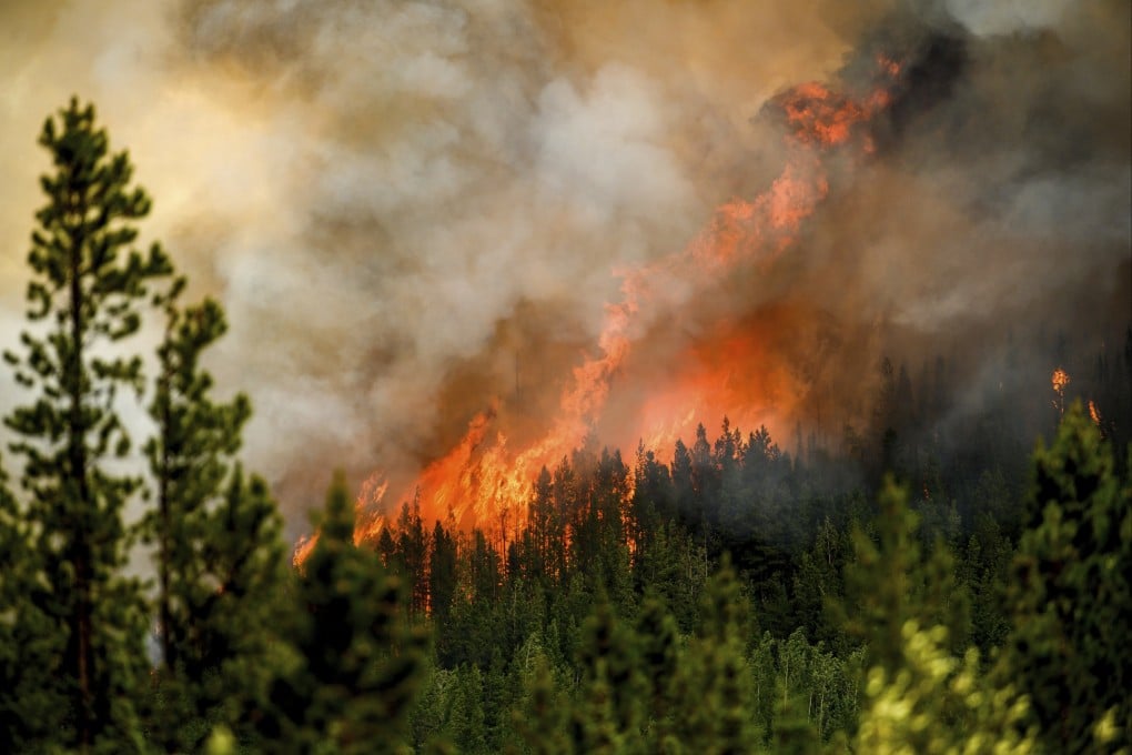 Flames from the Donnie Creek wildfire engulf a forest north of Fort St John, British Columbia, in July. Wildfires in Canada released over 1.5 billion tonnes of carbon dioxide emissions this year. Photo: AP