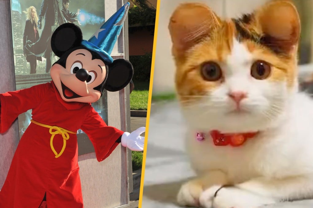 The growing trend of pets in China undergoing cosmetic surgery to acquire “Mickey ears,” resembling the iconic cartoon mouse from Disney is a cause for concern.
Photo: SCMP composite/Shutterstock/Weibo