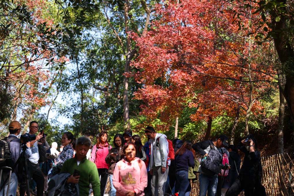 Hikers at Tai Lam Country Park. Bus firm KMB has arranged a special service for Christmas Day and Boxing Day so hikers can travel to the area from Yoho Mall. Photo: Yik Yeung-man
