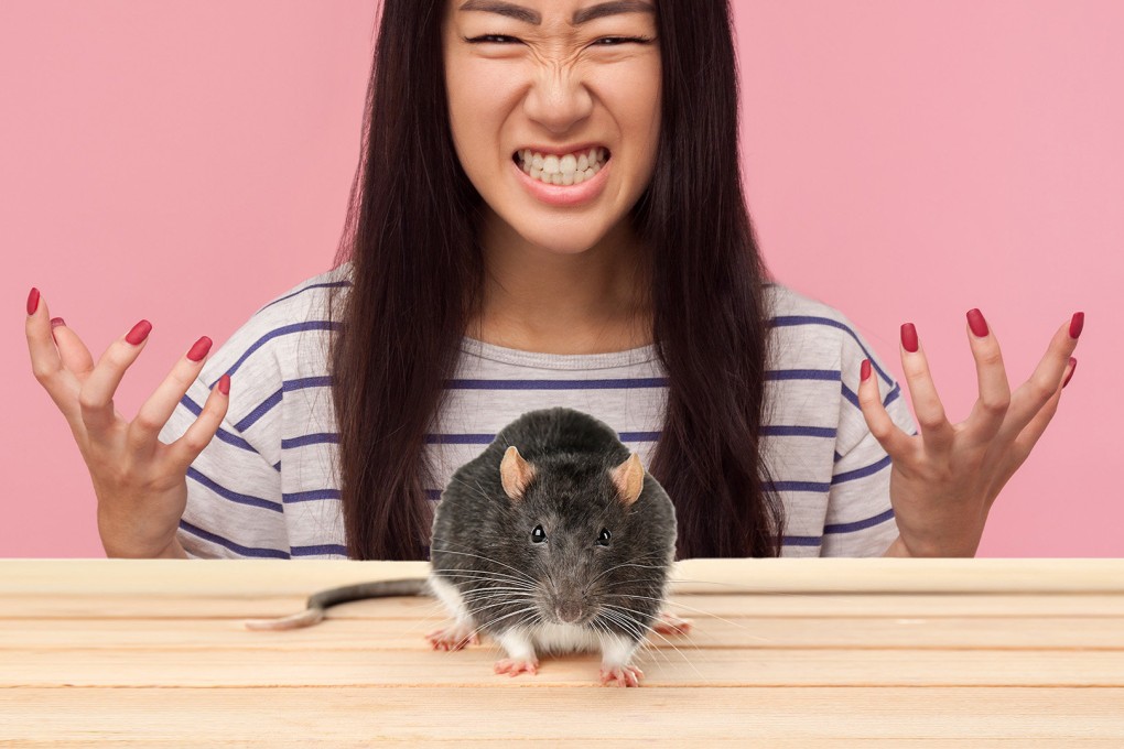 A university student in China has shocked mainland social media by taking revenge on a mouse she caught in her dormitory, which bit her finger, by sinking her teeth into the head of the pesky rodent. Photo: SCMP composite/Shutterstock