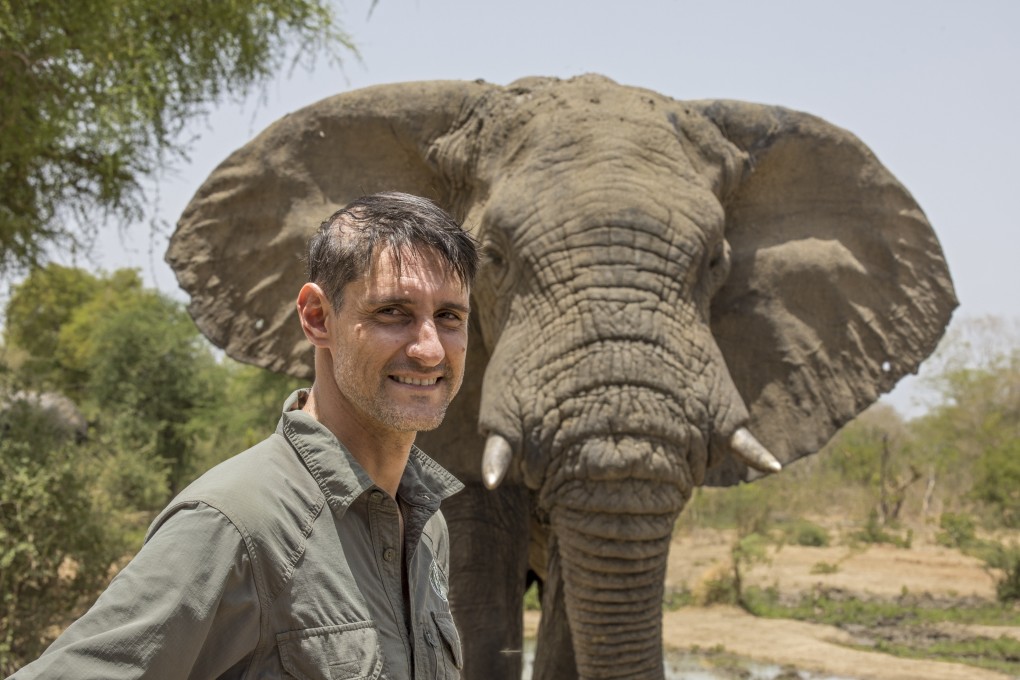 Naftali Honig, general manager of the Greater Zakouma Ecosystem, with an elephant. Chad’s Zakouma National Park, once a victim of mass poaching, is rapidly recovering and well on its way to becoming one of Africa’s top safari destinations. Photo: Daniel Allen