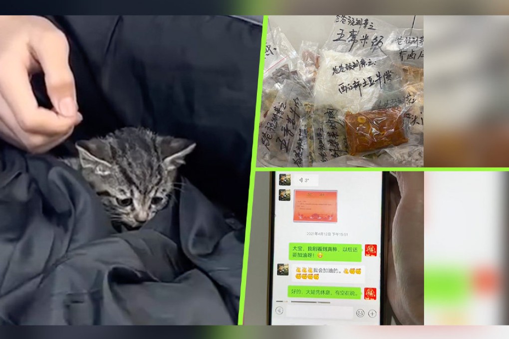 Our latest loving China feature showcases a boy who saved a falling kitten, a doting father who makes and sends his daughter home-cooked meals and a youngster who continues to send messages to his aunt despite the fact that she died three years ago. Photo: SCMP composite/Weibo