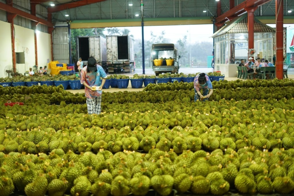 Stories involving Durian featured on the list of the most read China economy stories in 2023. Photo: Xinhua