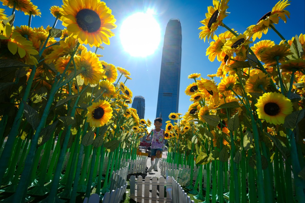 “Sunflower Field” is set up at Summerfest 2023 at the Central Harbourfront Event Space on July 10, 2023. Photo: Sam Tsang