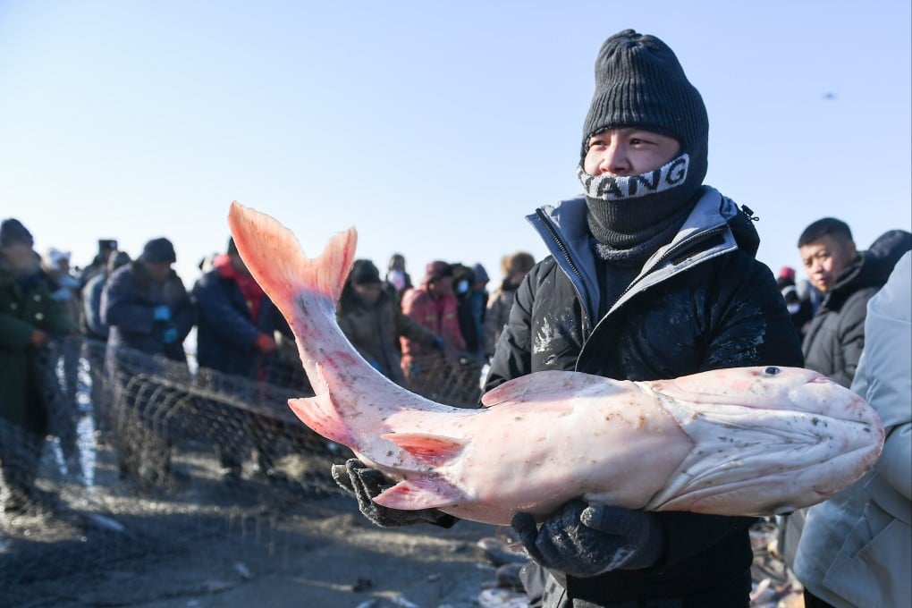 Fishing is seen as one way to fill China’s dietary needs with product harvested from the country’s own shores. Photo: Xinhua