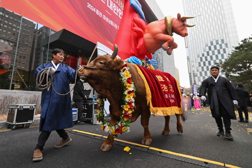 A man leads a bull during a ceremony celebrating the New Year’s opening of the South Korea stock market at the Korea Exchange in Seoul on January 2. Photo: AFP