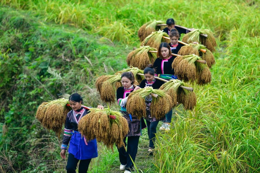 As the job market has soured, many migrant workers have returned to the countryside from the city to take up work in farming. Photo: Xinhua