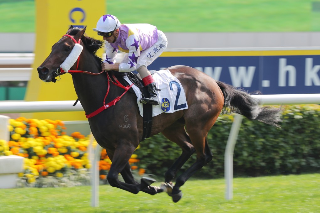 Champion Jockey Special 亮雅 Amazon.com: Champion Jockey Special NINTENDO SWITCH JAPANESE