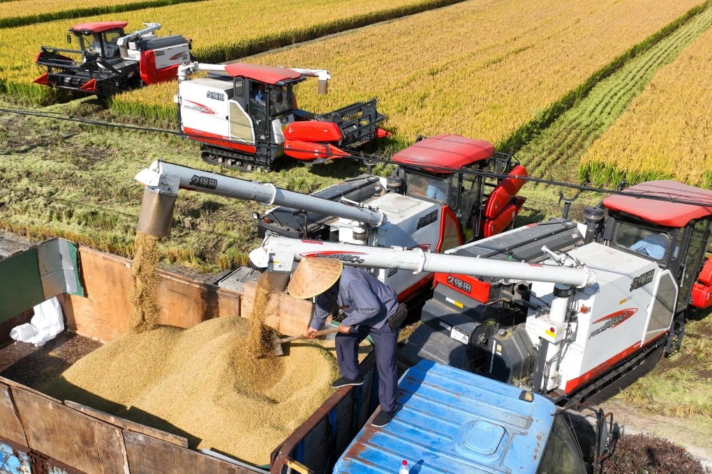 The total grain harvest in China reached over 695 million tonnes in 2023, and the government has pledged that it would keep the total output above 650 million tonnes in 2024. Photo: Getty Images