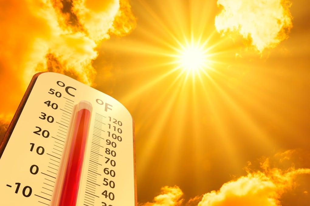 Scientists confirmed that 2023 was the warmest year ever recorded.
Photo: Shutterstock