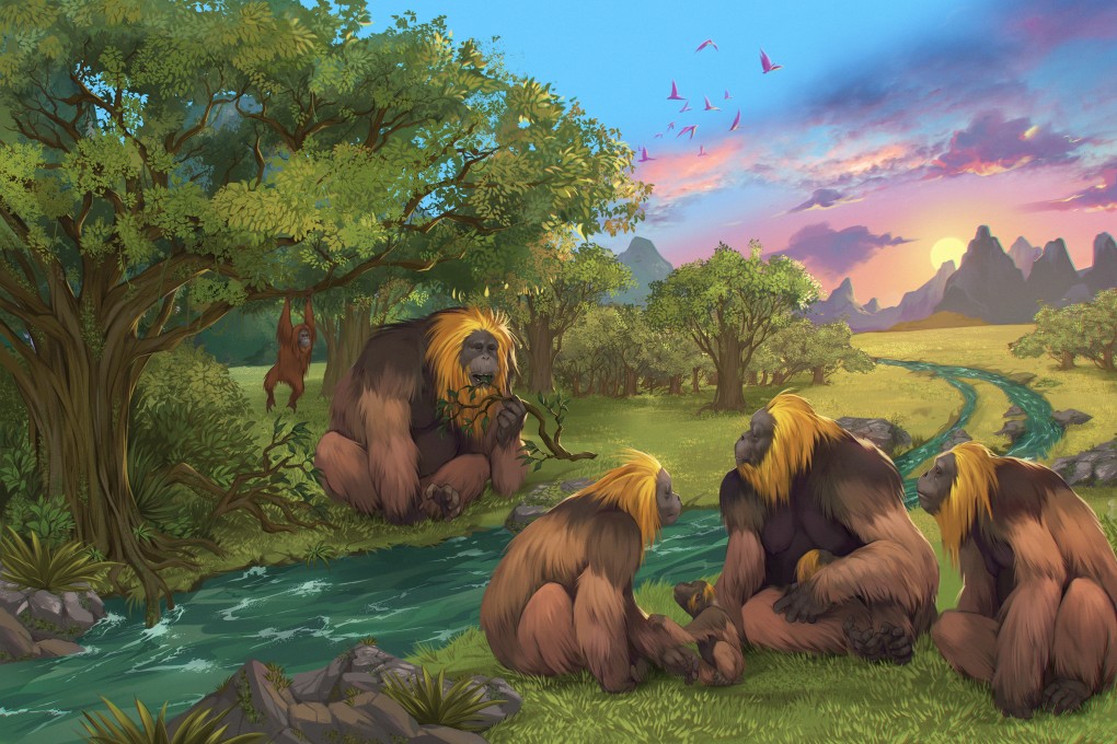 Artist’s impression of the G.blacki. A new study shows the giant primates became extinct much earlier than previously assumed. Photo: Garcia and Joannes-Boyau (Southern Cross University)