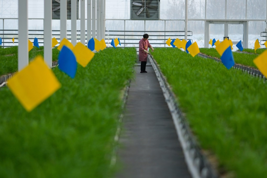 China is taking action to enhance its indigenous seed industries, as the sector has been deemed essential for the country’s food security. Photo: Xinhua