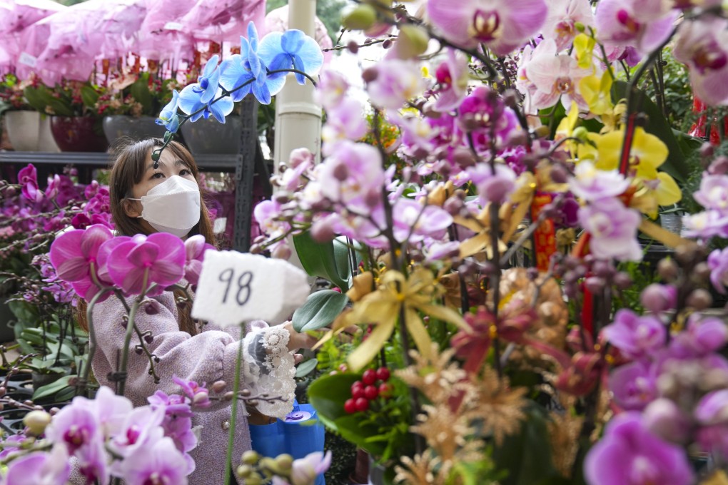 A view of the Flower Market in Prince Edward on January 9, 2023, before the fixed penalty for shopfront extension was raised. Photo: Sam Tsang