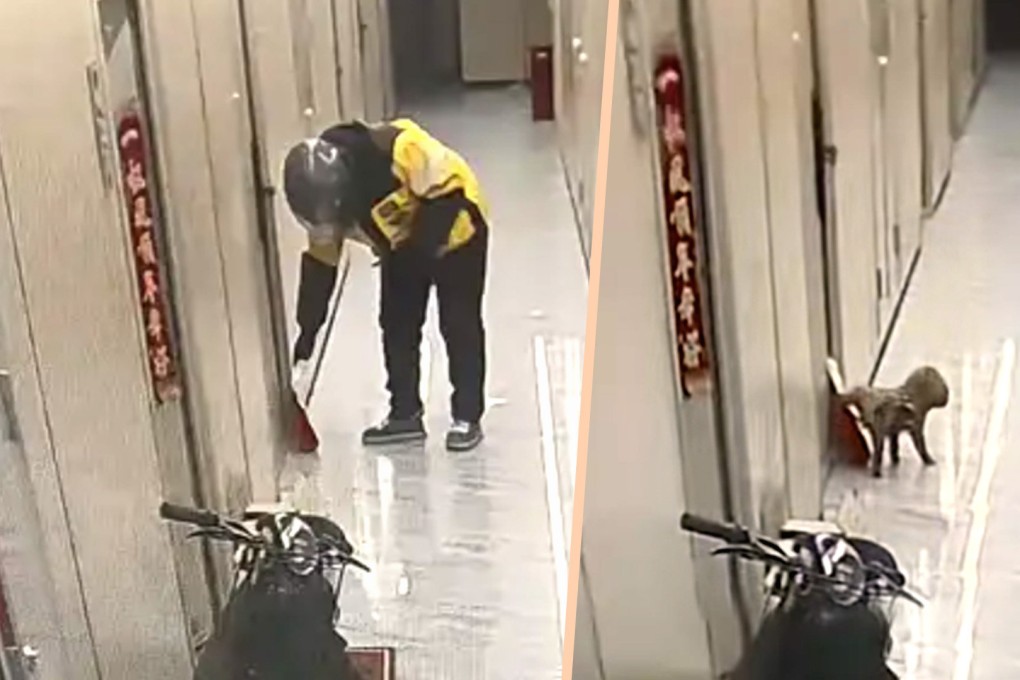 Much hilarity has been expressed on mainland social media over a woman staying in a guest house in China who opened the door to her room to find her meal covered in pee, and blamed the delivery driver for the mess, only to discover that a dog was responsible Photo: SCMP composite/Baidu