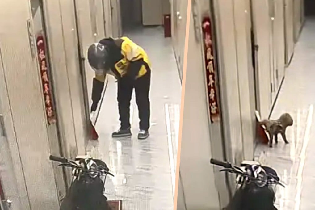 Much hilarity has been expressed on mainland social media over a woman staying in a guest house in China who opened the door to her room to find her meal covered in pee, and blamed the delivery driver for the mess, only to discover that a dog was responsible Photo: SCMP composite/Baidu