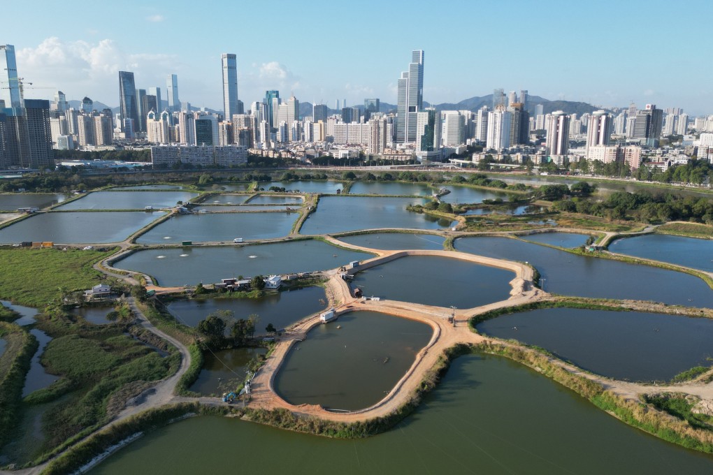 The two-year study found that Hoo Hok Wai, a patch of wetland next to the Lok Ma Chau Loop, incurred the most damage. Photo: Dickson Lee