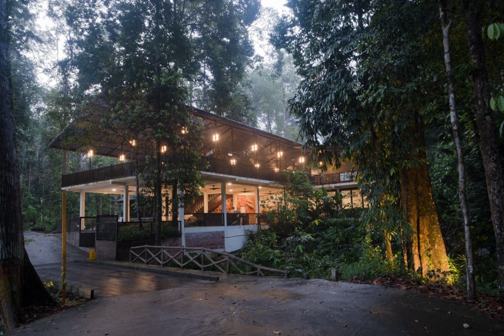 Rompin Rainforest Lodge provides modern accommodation in Malaysia’s new Rompin State Park, where primeval rainforest may make visitors think they’ve been transported to the Jurassic era when dinosaurs roamed. Photo: Chan Kit Yeng