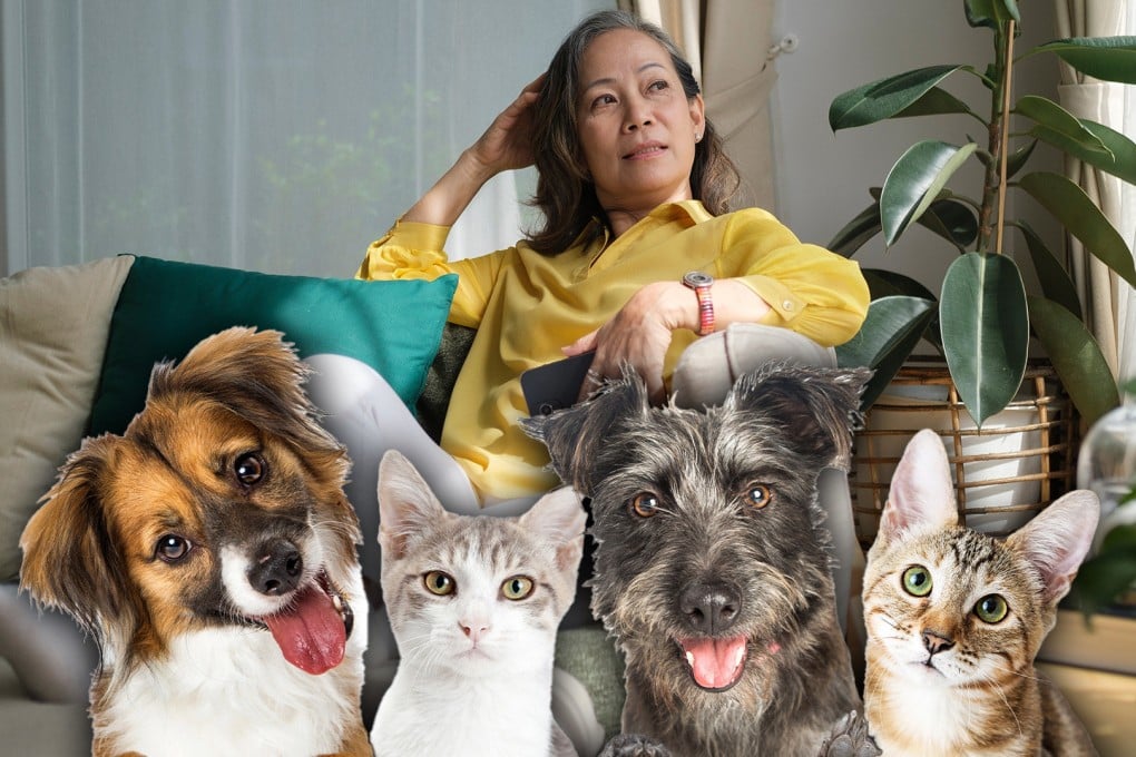 An elderly woman in China has cut her children out of her will because they have neglected her in her old age, and is instead leaving her US$2.8 million fortune to her beloved cats and dogs. Photo: SCMP composite/Shutterstock