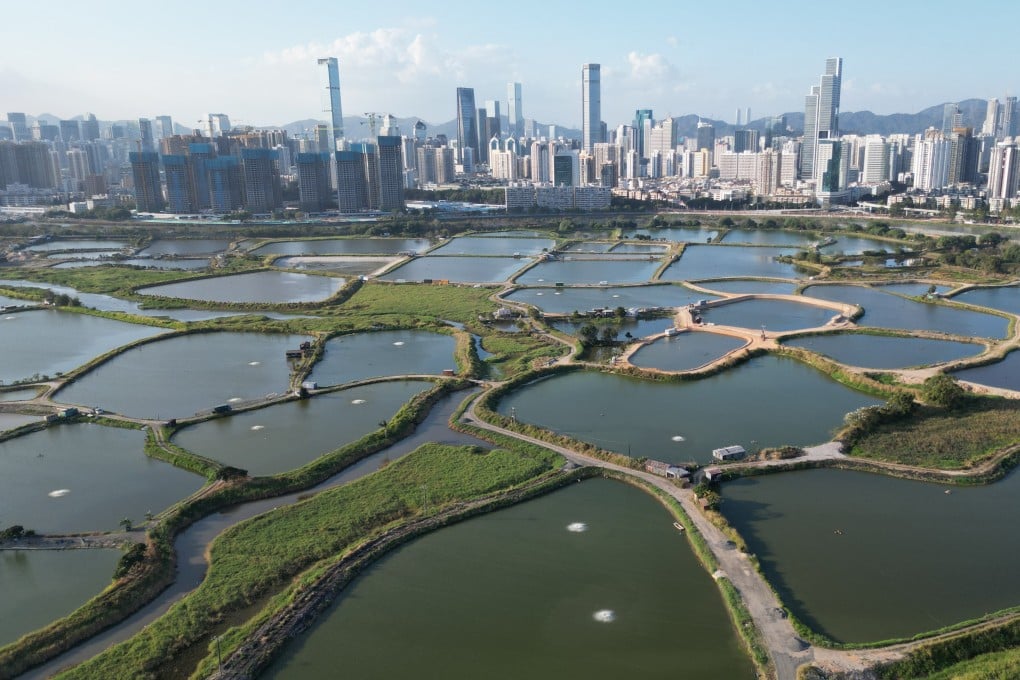 A study found that up to 78.7 hectares of wetlands earmarked for conservation have been damaged since plans for a technology hub near the Hong Kong-mainland China border were unveiled. Photo: Dickson Lee