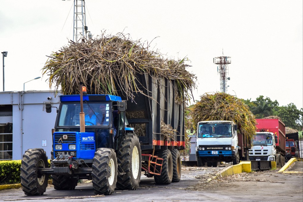 Sugarcane is transported in Mauritius, a tiny island nation in the Indian Ocean. Photo: AFP