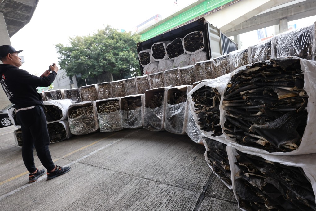 Customs has seized 4.2 tonnes of dried shark skin from endangered species in a shipment from Thailand. Photo: Jelly Tse