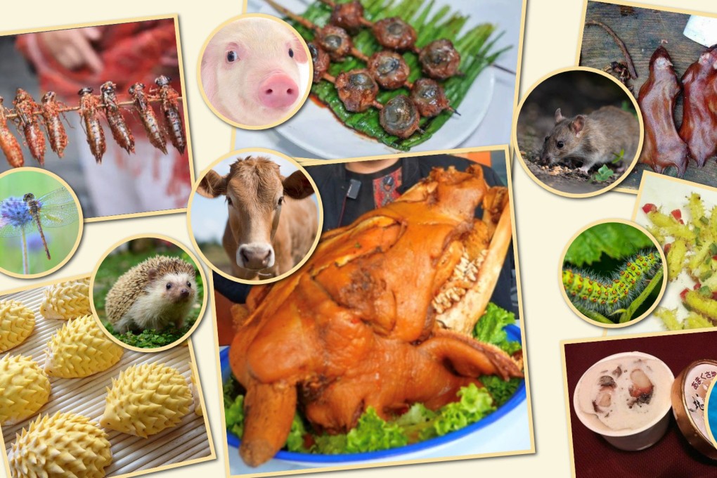 Check out the Post’s tasty-ten list of weird and wonderful dishes from China and Asia. Photo: SCMP composite/Shutterstock/Baidu/Douyin/QQ.com/The Paper