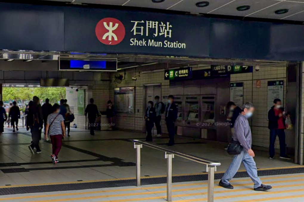 While the factors behind tragedies such as a suspected murder-suicide at an MTR station last month are often complex and warrant further study, could such incidents be prevented by more proactive intervention? Photo: Google map